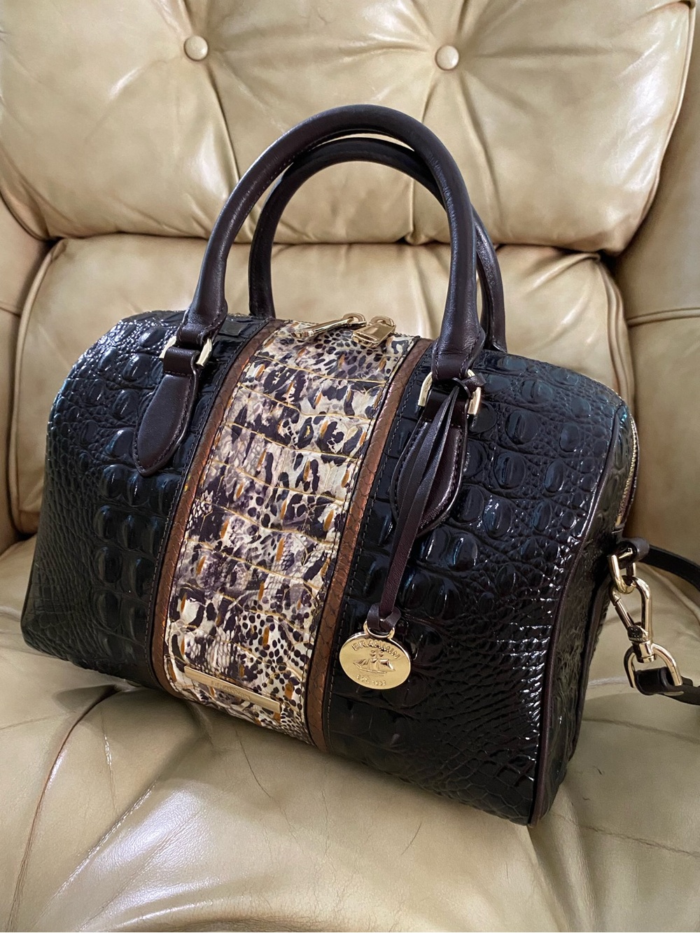 Gorgeous Brahmin Stacy Cocoa Goldspur Satchel Black Cocoa Bronze Melbourne